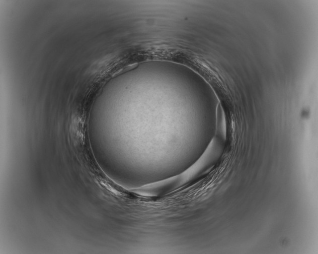 X0000097841010200803141203