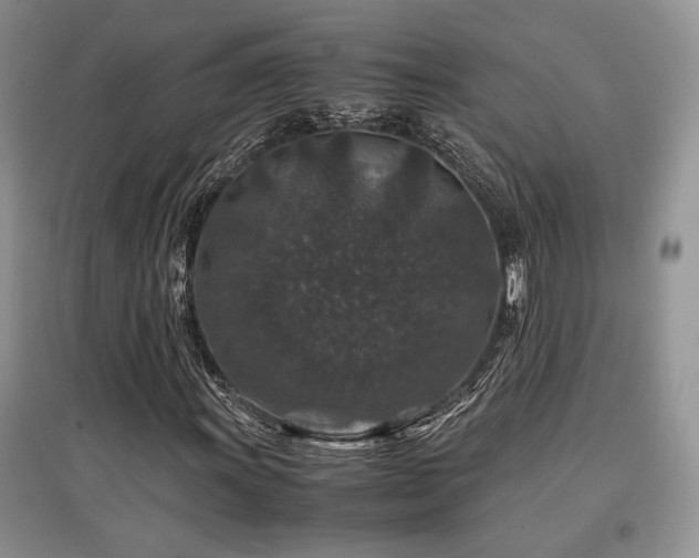 X0000097841011200803141203