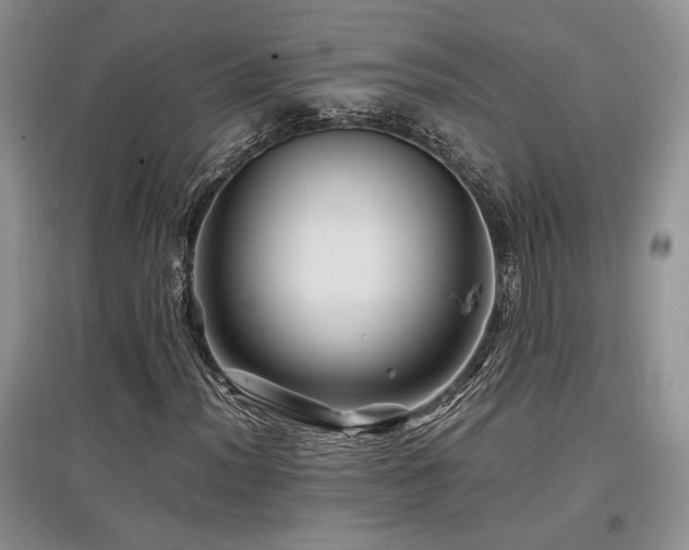 X0000097841012200803141203