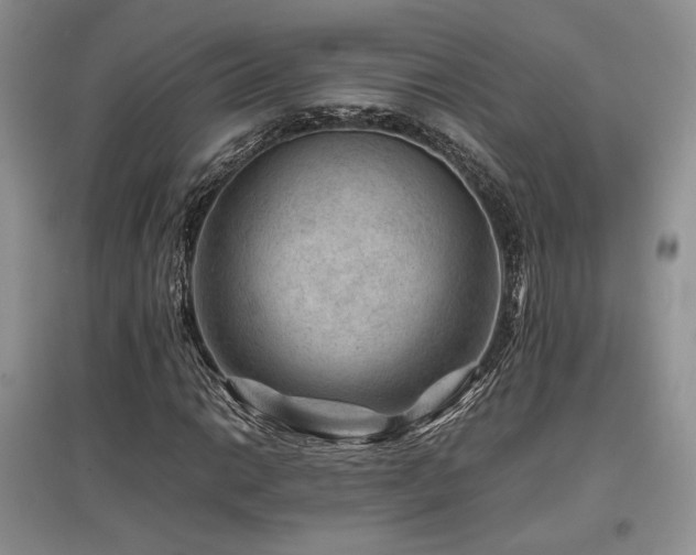 X0000097841014200803141203