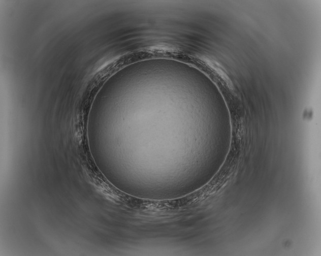 X0000097841015200803141203