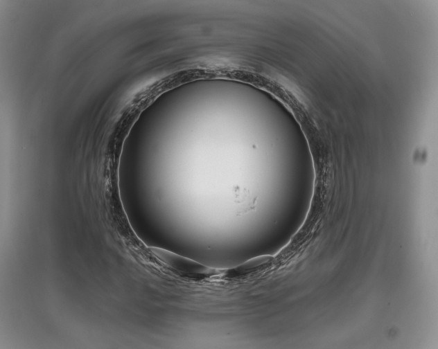 X0000097841016200803141203