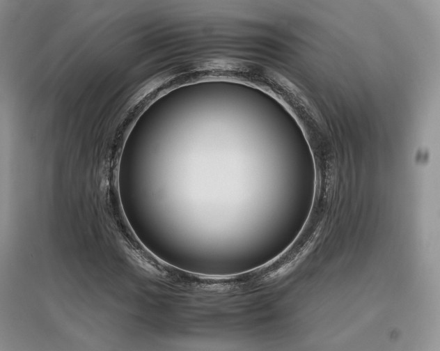 X0000097841017200803141203