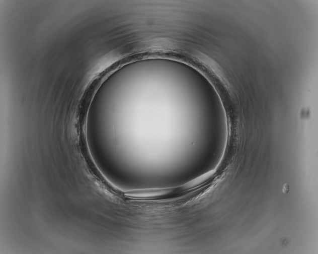 X0000097841018200803141203