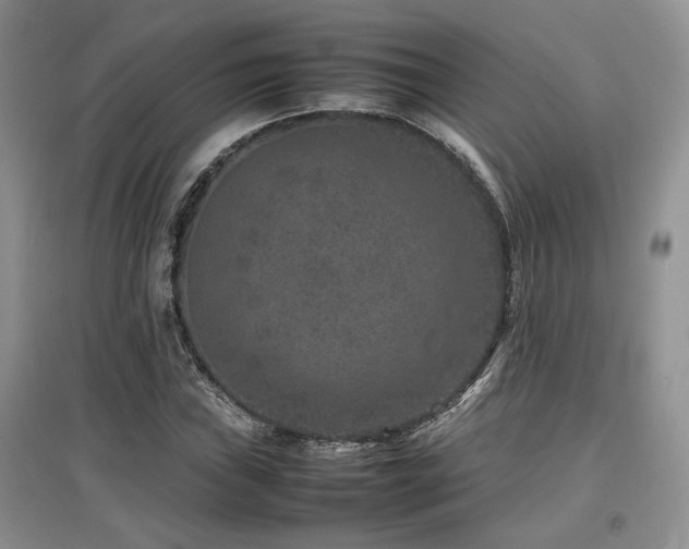 X0000097841019200803141203