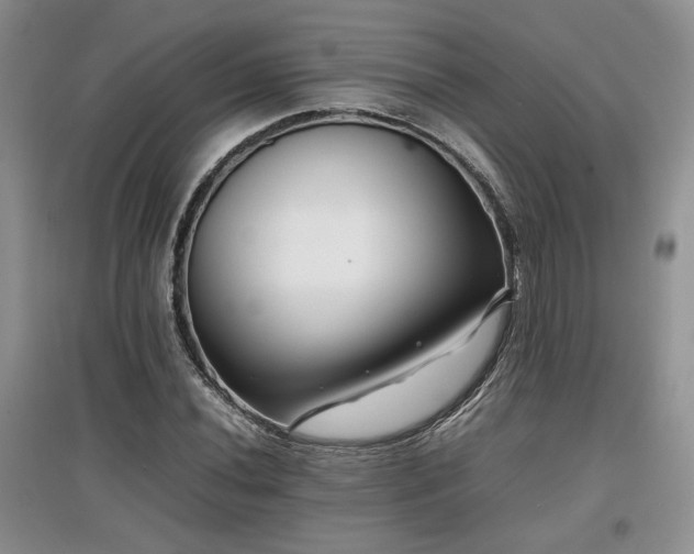 X0000097841020200803141203