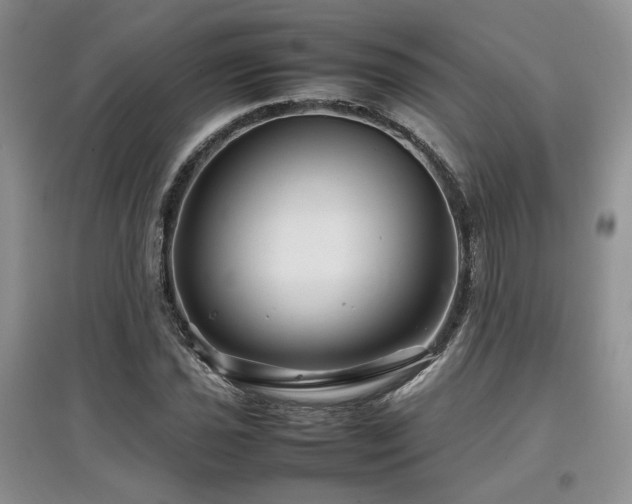 X0000097841021200803141203