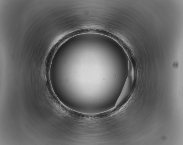 X0000097841022200803141203