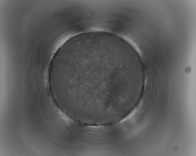 X0000097841023200803141203