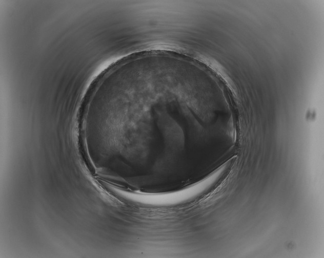 X0000097841024200803141203