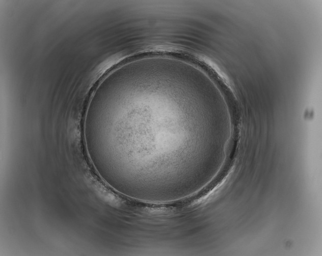 X0000097841025200803141203