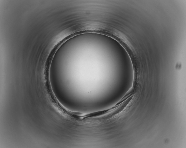 X0000097841026200803141203