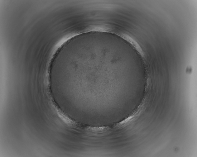X0000097841027200803141203