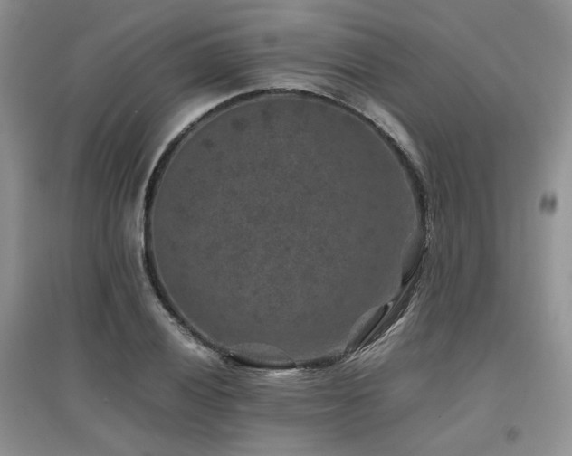 X0000097841028200803141203