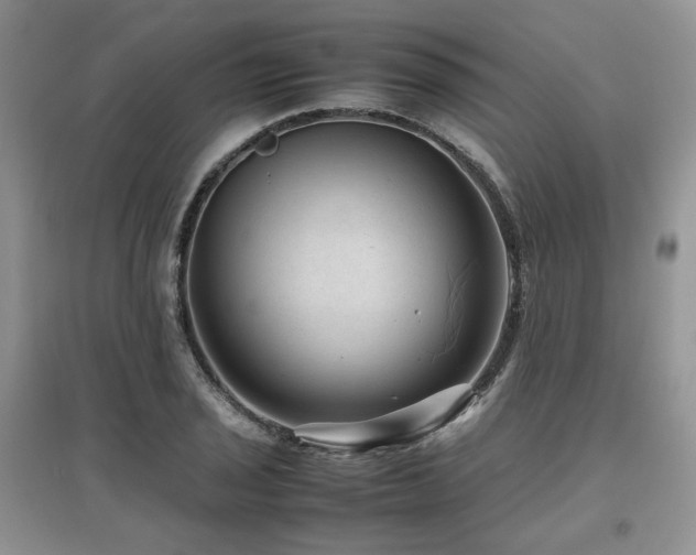 X0000097841029200803141203