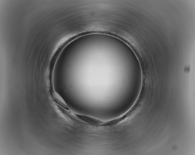 X0000097841030200803141203