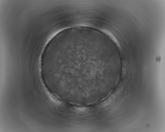 X0000097841031200803141203