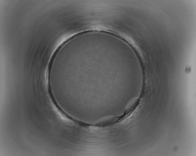 X0000097841032200803141203