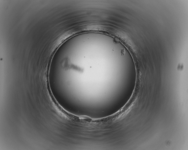 X0000097841033200803141203
