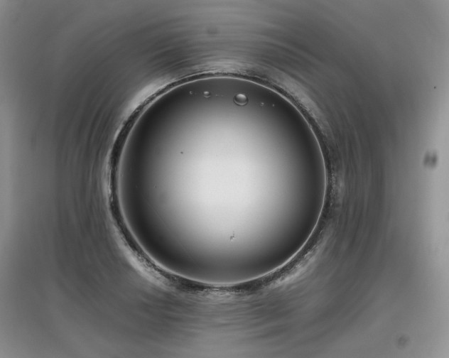 X0000097841034200803141203