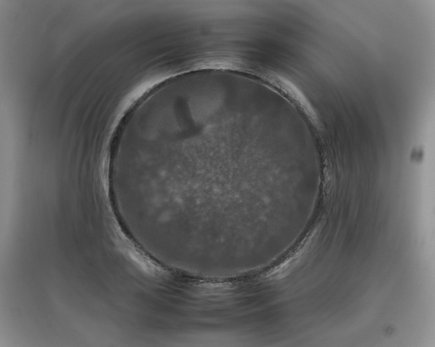 X0000097841035200803141203