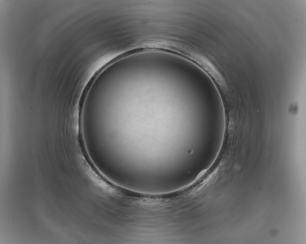 X0000097841036200803141203