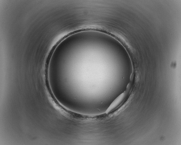 X0000097841038200803141203