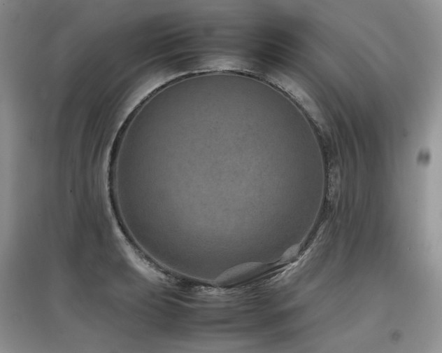 X0000097841039200803141203