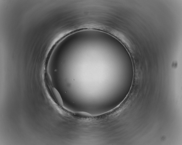 X0000097841040200803141203