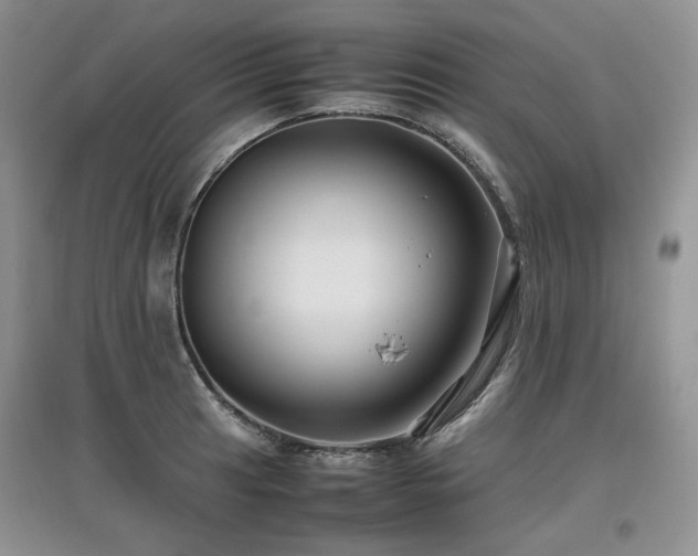 X0000097841041200803141203