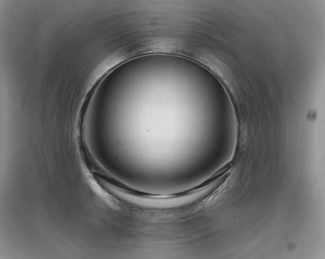 X0000097841042200803141203