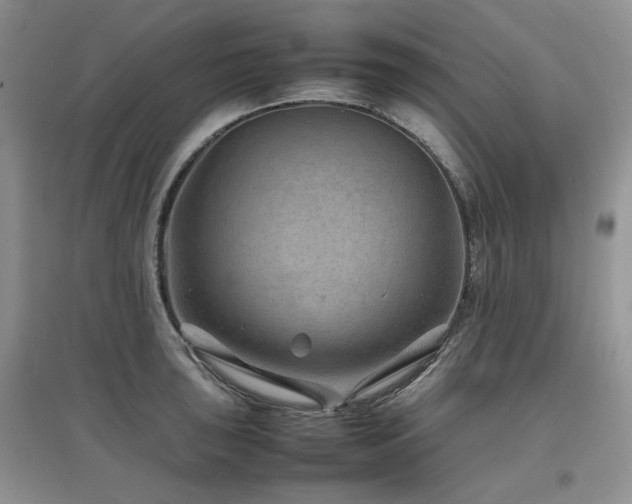 X0000097841043200803141203