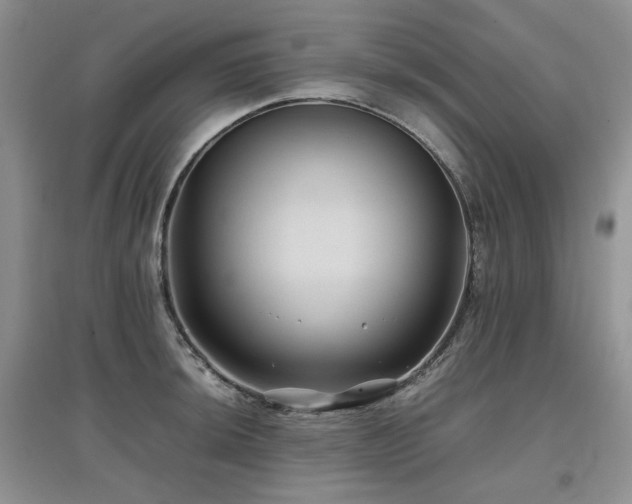 X0000097841044200803141203