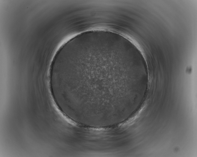 X0000097841045200803141203