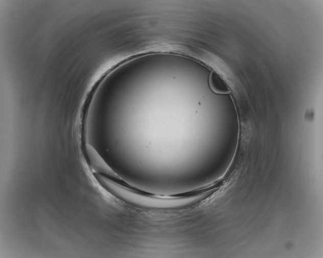 X0000097841046200803141203