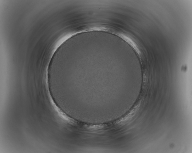 X0000097841047200803141203