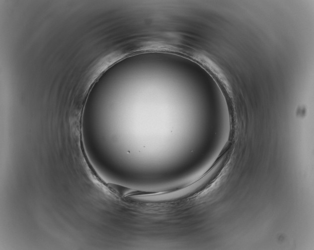 X0000097841049200803141203