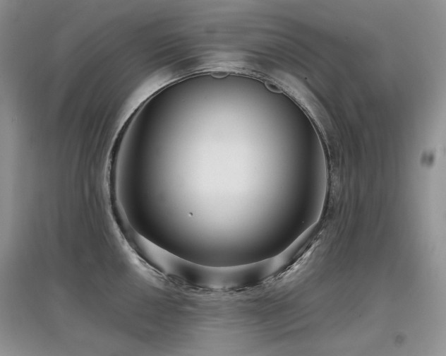 X0000097841050200803141203