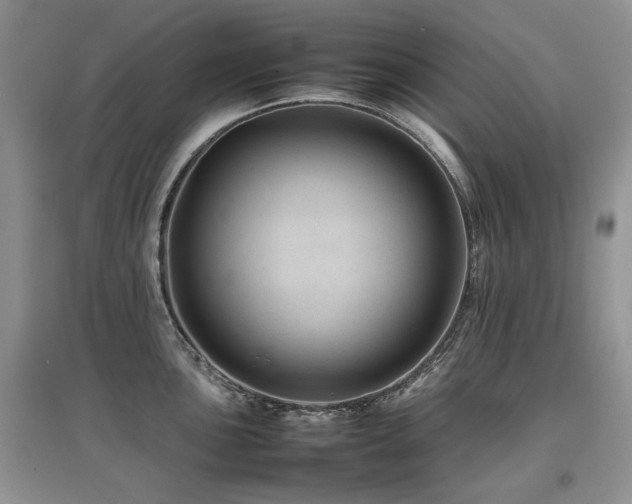 X0000097841051200803141204