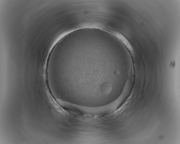 X0000097841052200803141204