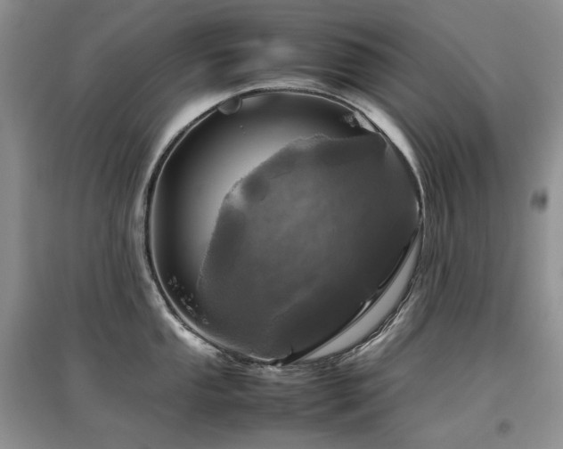 X0000097841053200803141204