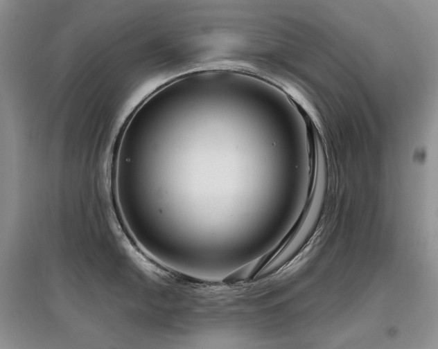 X0000097841054200803141204