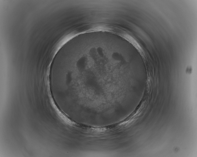 X0000097841055200803141204