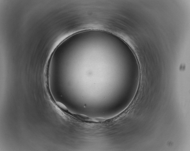 X0000097841056200803141204