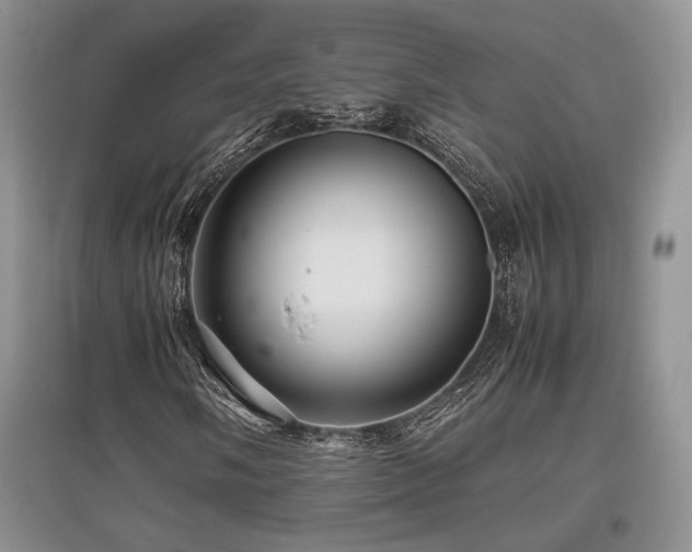 X0000097841058200803141203