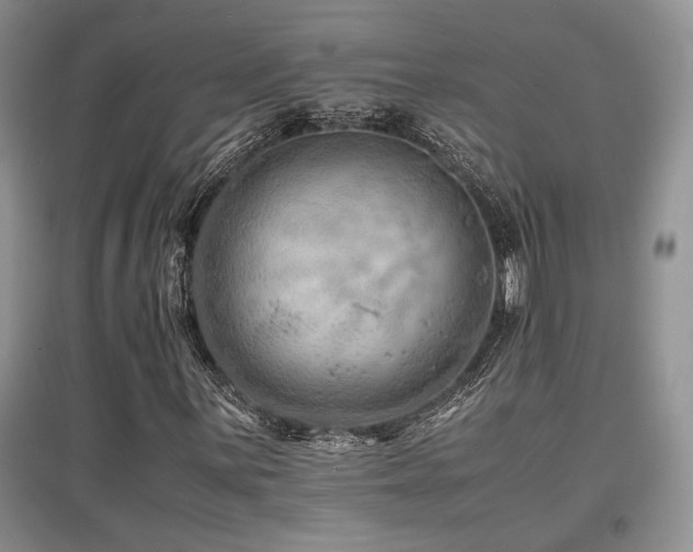 X0000097841059200803141203