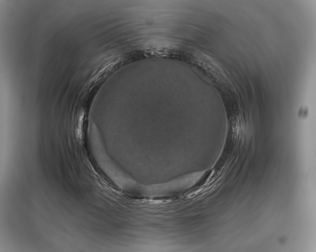 X0000097841060200803141203