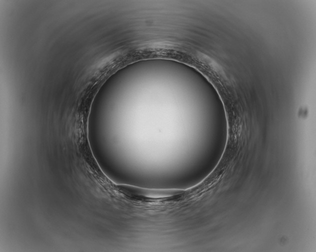 X0000097841062200803141203