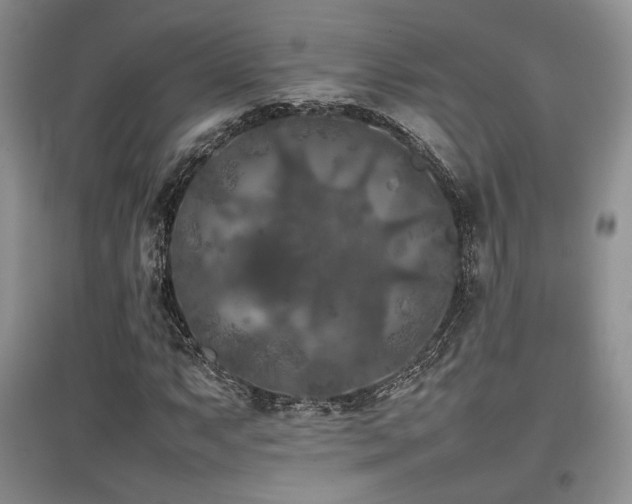 X0000097841063200803141203