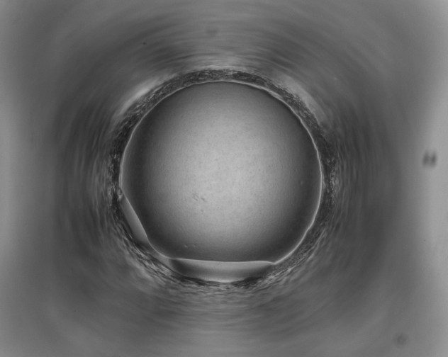 X0000097841064200803141203